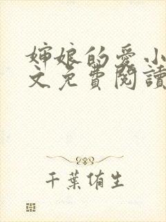 婶娘的爱小说全文免费阅读封面