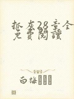 抓灰28章全部免费阅读