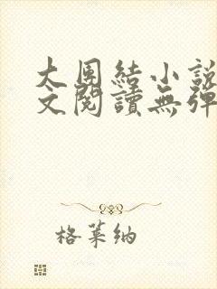 大团结小说集全文阅读无弹窗