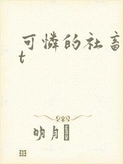 可怜的社畜txt封面