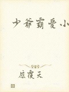 少爷霸爱小丫头