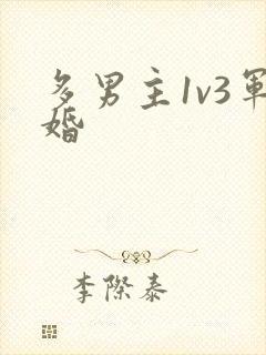 多男主1v3军婚