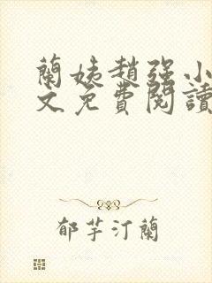 兰姨赵强小说全文免费阅读封面