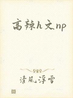 高辣h文np