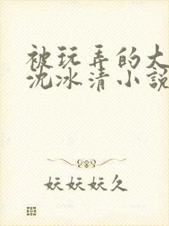 被玩弄的大小姐沈冰清小说