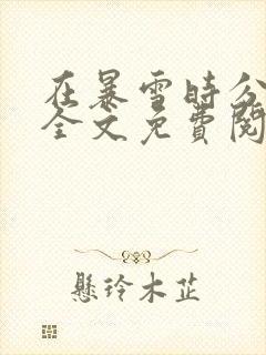 在暴雪时分小说全文免费阅读