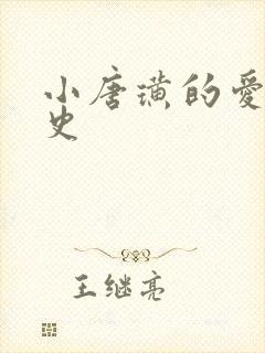 小唐璜的爱情历史