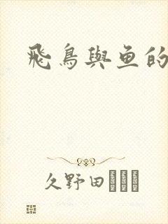 飞鸟与鱼的故事封面