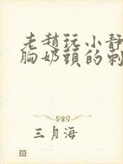 老赵玩小静揉捏胸奶头的刺激小说