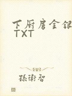 下厨房金银花露 TXT