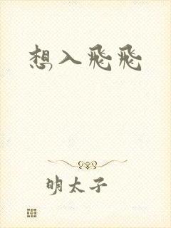 想入飞飞封面