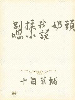 别揉我奶头啊嗯嗯小说