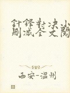 针锋对决小说未删减全文阅读