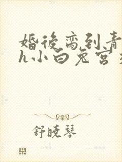 婚后脔到青梅哭h小白兔宫交h