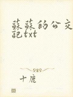 苏苏的公交车日记txt