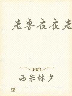 老鲁夜夜老鲁