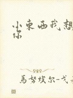 小东西我想弄坏你