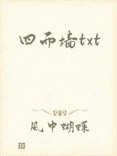四面墙txt