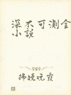深不可测金银花小说