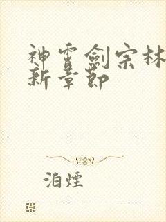 神霄剑宗林枫最新章节