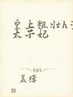 皇上粗壮h灌满太子妃