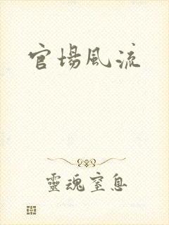 官场风流封面