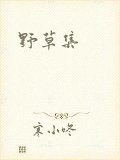 野草集封面
