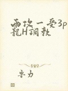 两攻一受3p双龙H调教