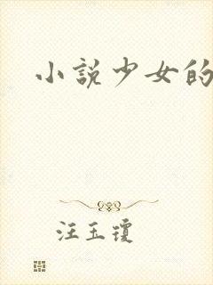 小说少女的心