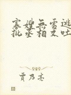 寡嫂无处逃,疯批丞相又吐血了封面