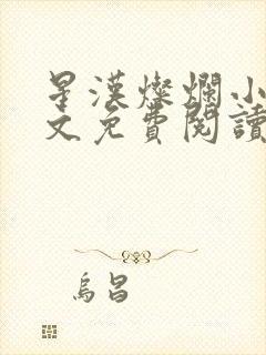 星汉灿烂小说全文免费阅读封面