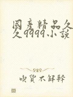 国产精品久久久久9999小说