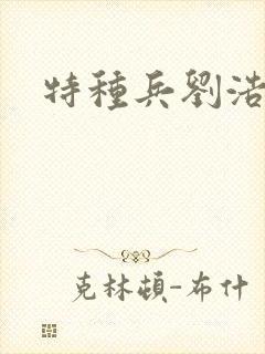 特种兵刘浩封面