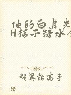 他的白月光HVH桔子糖水全文