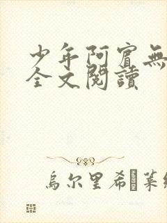 少年阿宾无删减全文阅读