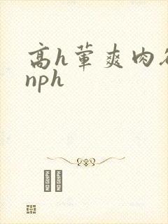 高h荤爽肉欲文nph