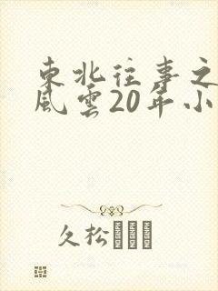 东北往事之黑道风云20年小说