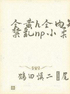 全黄h全肉短篇禁乱np小柔