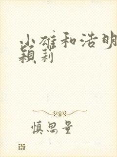 小雄和浩明夹击颖莉封面