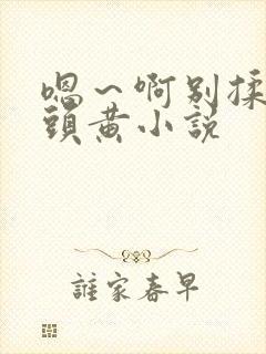 嗯～啊别揉我奶头黄小说封面