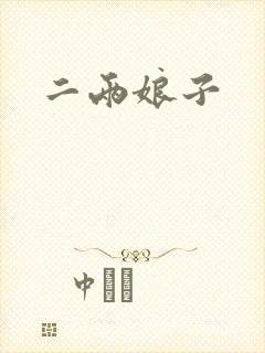 二两娘子封面