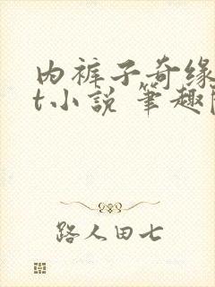 内裤子奇缘txt小说 笔趣阁封面