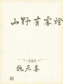 山野有雾灯封面