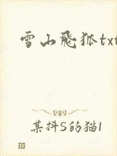 雪山飞狐txt