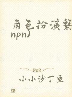 角色扮演系统(npn)封面