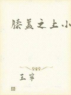 膝盖之上小说封面