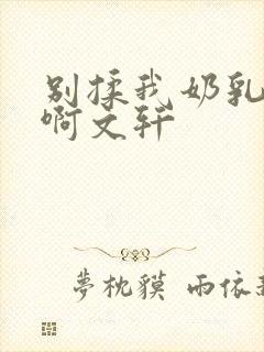 别揉我奶乳嗯～啊文轩