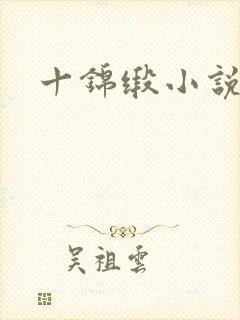 十锦缎小说封面