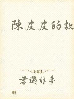 陈皮皮的故事
