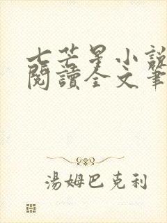 七芒星小说免费阅读全文笔趣阁